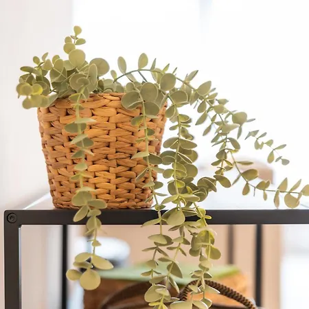 Wonderful And Fully Equipped 奥斯滕德